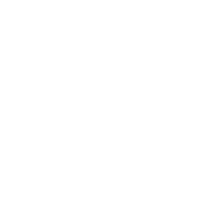 Singfei's emblem