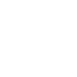 DelayedArtisticG's emblem