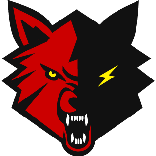 NO_AWP_NO_SNIPER's emblem