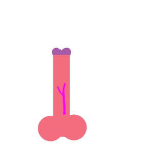 MattehFTW's emblem