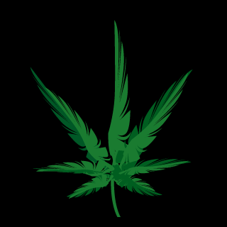 Basquinel's emblem