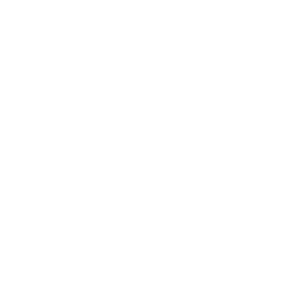 StormHowitzers's emblem