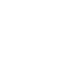 PunisherOneX's emblem