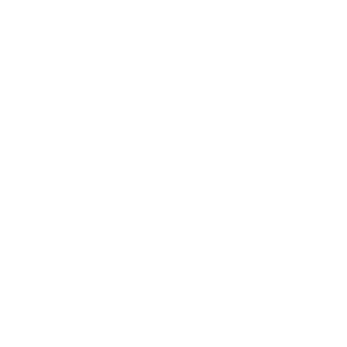 Spartan1V's emblem