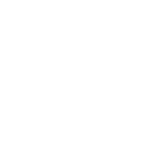 DNZXSF1's emblem