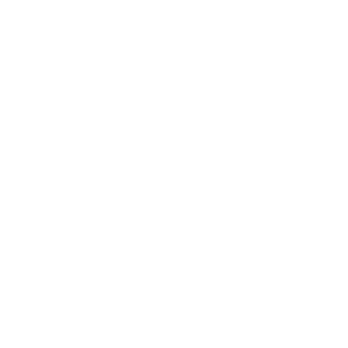 LSJ-tulv's emblem