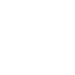 JonnesIntelecto9's emblem