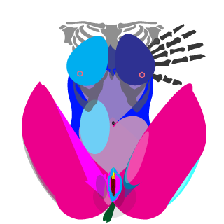 abbasmind's emblem
