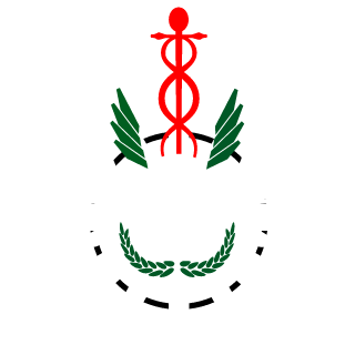 SirZaid's emblem