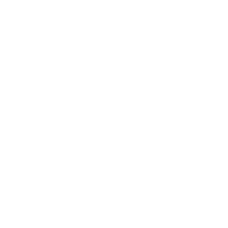SayanChaki24's emblem