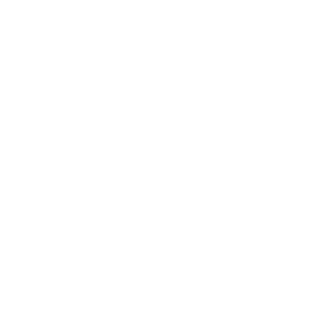 AMEERO997's emblem
