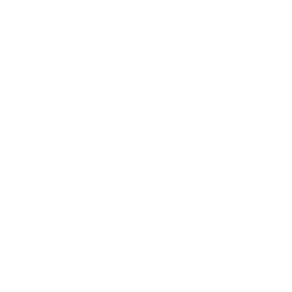 dnglXY's emblem
