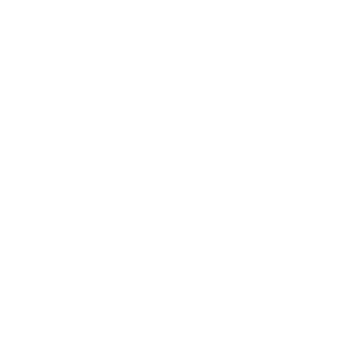 eneves51's emblem