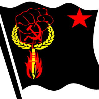 11Vedyn11's emblem