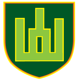 Ernis86's emblem
