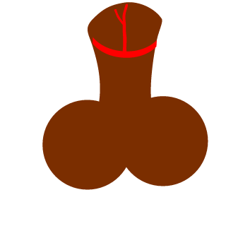 INDEPENDENTE75's emblem