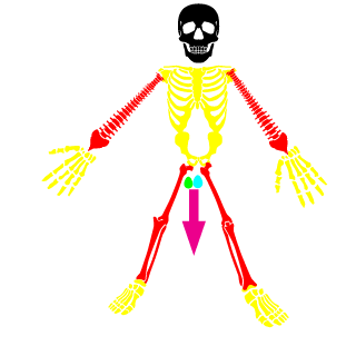 Schwatte001's emblem