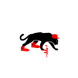 IIA BigRed's emblem