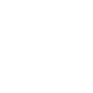 19lam's emblem