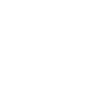 E1evanz's emblem