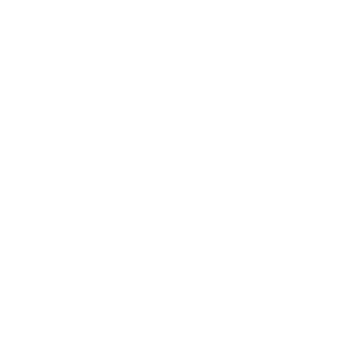 ShortMemoryC's emblem