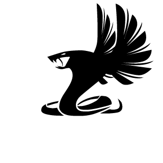 Vini_MoreiraBR's emblem