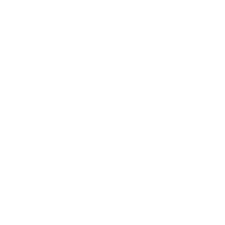 toroidal_pinch's emblem