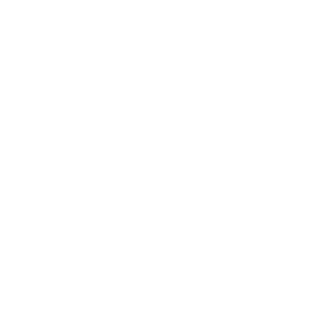 I0_I_III_I_0I's emblem