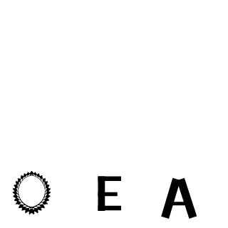 Bly-CT5052's emblem