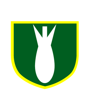 kaikkonen666's emblem