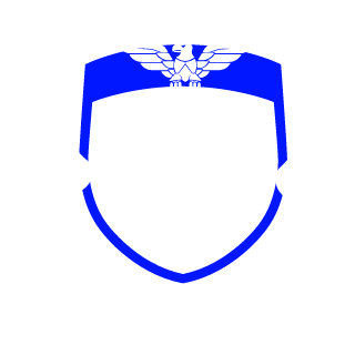 1sheldust1's emblem