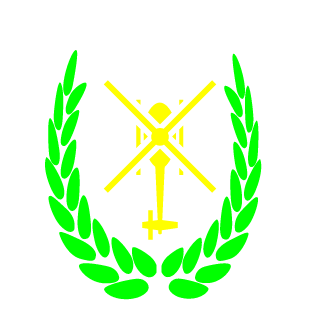 d46e3c2f14ab6576's emblem