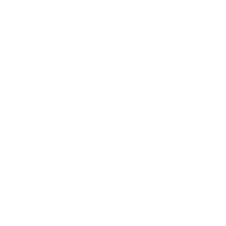 BenettiS98's emblem