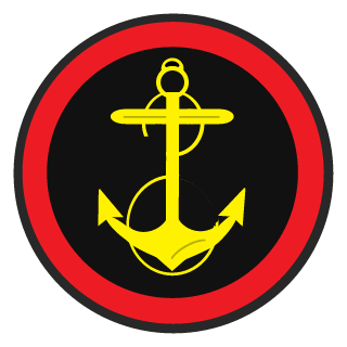 Stex48rus's emblem