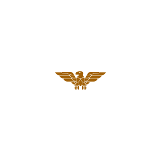 Micky9991's emblem