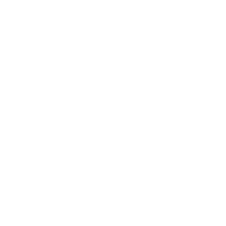 Punidor69's emblem