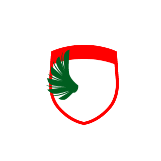 Pinkpig677's emblem
