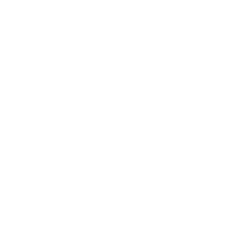 93tiI's emblem