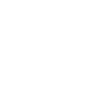 AwesomeElitelll's emblem
