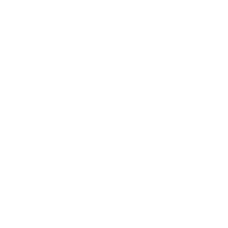 604LSD's emblem