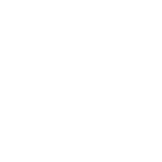 jamesyly0530's emblem