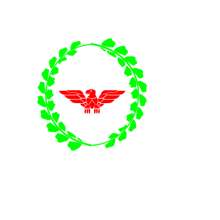 Ali_Tgh121's emblem