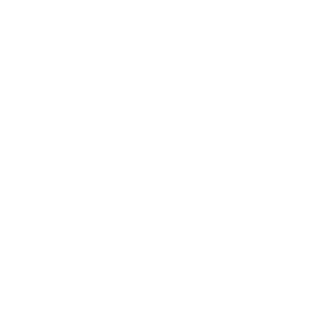 TheMalikShowYT's emblem