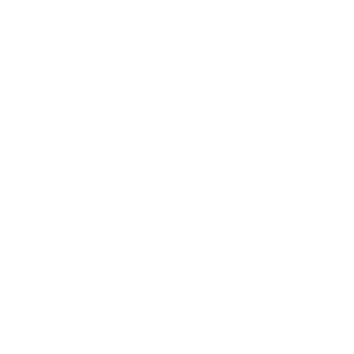 accezz's emblem
