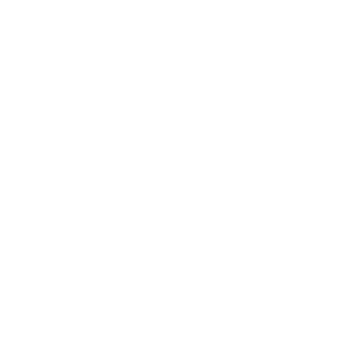 High_Comsonaut's emblem