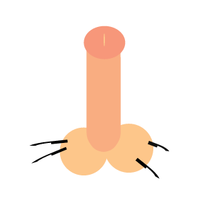 smurf_xxs's emblem