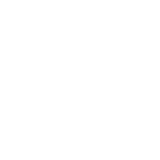 Bwuce01's emblem