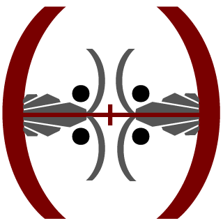 BakinBrownyz's emblem