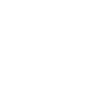 LIARTE98's emblem