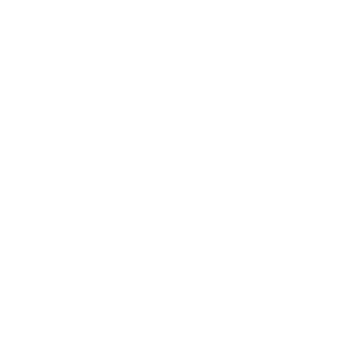 AdeoN-DG's emblem